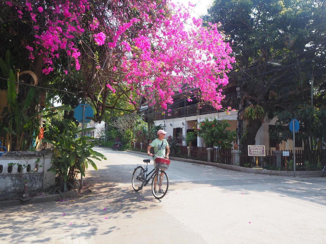 Wisdom Laos Hotel Luang Prabang Exteriör bild